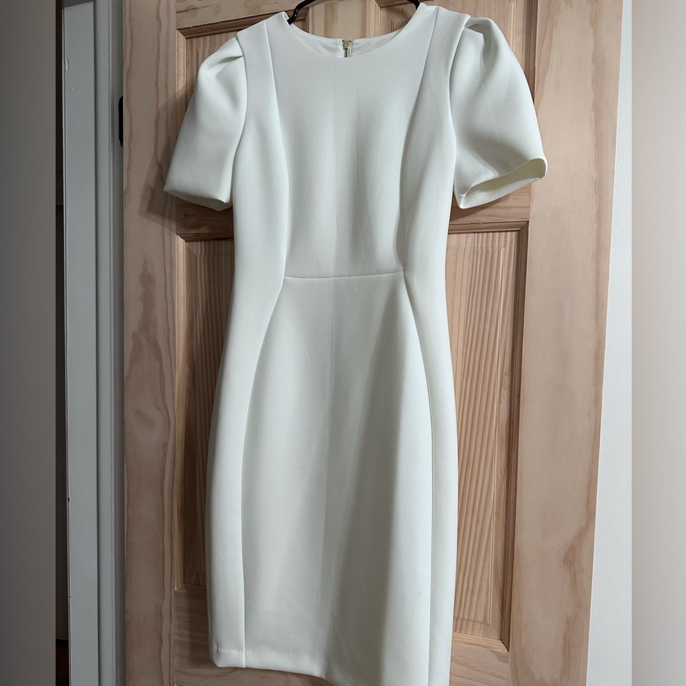 Calvin Klein Short Sleeve Sheath Dress (White)